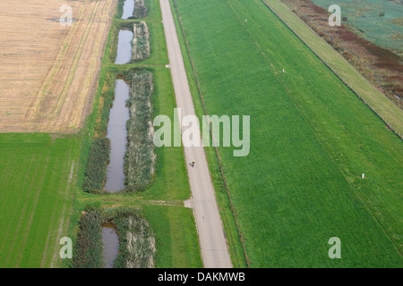 Vue aérienne de digue et rue d'Hedwigepolder, Pays-Bas, Zeeuws Vlaanderen, Verdronken Land van Saeftinghe Banque D'Images