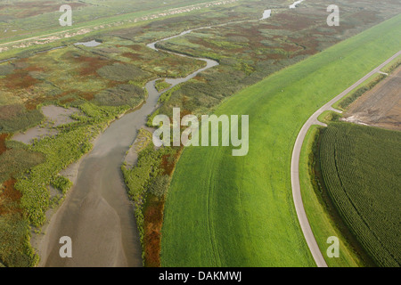 Vue aérienne d'une digue et d'Hedwigepolder, Pays-Bas, Zeeuws Vlaanderen, Verdronken Land van Saeftinghe Banque D'Images