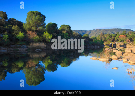 Dans Jndula Rio Sierra de Andjar Nature Park, Espagne, Andalousie, Jaen, Sierra Morena Banque D'Images