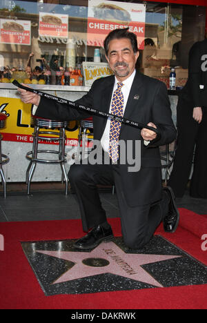 L'acteur américain Joe Mantegna est titulaire d'une biche a présenté lors de sa cérémonie d'étoiles sur le Hollywood Walk of Fame à Hollywood, Californie, USA, 29 avril 2011. Mantegna a reçu le 2,438ème étoile sur le Walk of Fame. Photo : Hubert Boesl Banque D'Images