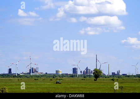 Meadows et de l'acier Arcelor Mittal en arrière-plan, l'Allemagne, l'Werderland Bremen-Lesum, Banque D'Images