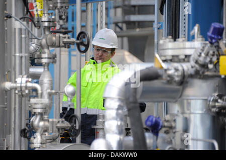 Un Vattenfall (power company) employé vérifie la nouvelle épuration des gaz de combustion et de CO2 dans le système de séparation Scwarze Pumpe, Allemagne, 05 mai 2011. Les 10 millions d'euros dans un système de coopération entre Vattenfall Europe et la compagnie américaine Air Products et appartient à un système pilote de la Vattenfall à faibles émissions de carbone des centrales au charbon a commencé en 2008. Photo : Bernd Settnik Banque D'Images