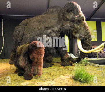 Un modèle d'un gigantesque se dresse à l'exposition 'Les Géants de l'époque glaciaire' ('Giganten der Eiszeit') en matière, l'Allemagne, le 31 mai 2011. Jusqu'à la fin du mois d'octobre, mammouths, tigres à dents de sabre et néandertaliens fera partie des plus de 100 expositions. Photo : Wolfgang Runge Banque D'Images