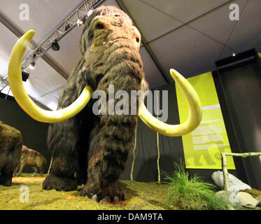 Un modèle d'un gigantesque se dresse à l'exposition 'Les Géants de l'époque glaciaire' ('Giganten der Eiszeit') en matière, l'Allemagne, le 31 mai 2011. Jusqu'à la fin du mois d'octobre, mammouths, tigres à dents de sabre et néandertaliens fera partie des plus de 100 expositions. Photo : Wolfgang Runge Banque D'Images