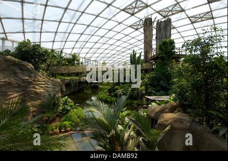 Vue de la maison 'tropical presque fini de Gondwana' au zoo de Leipzig à Leipzig, Allemagne, 03 juin 2011. En moins d'un mois, le parc tropical de 1,65 hectare Gonwanaland sera ouverte le 1 juillet 2011. Dans les prochaines semaines, les animaux seront en déplacement, y compris l'Opossum Heidi. Photo : PETER ENDIG Banque D'Images