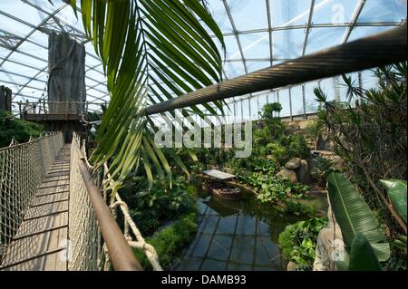 Vue de la maison 'tropical presque fini de Gondwana' au zoo de Leipzig à Leipzig, Allemagne, 03 juin 2011. En moins d'un mois, le parc tropical de 1,65 hectare Gonwanaland sera ouverte le 1 juillet 2011. Dans les prochaines semaines, les animaux seront en déplacement, y compris l'Opossum Heidi. Photo : PETER ENDIG Banque D'Images