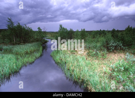 Ciel nuageux sur petite rivière à travers la taïga, Finlande, Laponie Banque D'Images