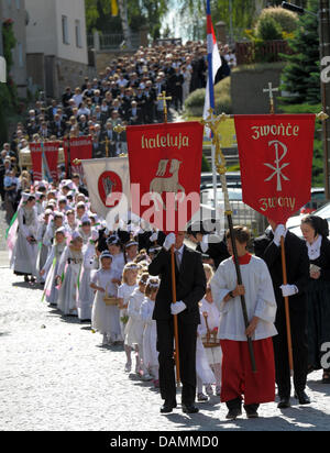 La langue sorabe demoiselles, le ruschki «', à pied à l'avant de la procession du Corpus Christi de Crostwitz en, Allemagne, 23 juin 2011. Corpus Christi est célébrée dans seulement 25, majoritairement catholique communes de la Lusace Région de la Saxe. Photo : MATTHIAS HIEKEL Banque D'Images