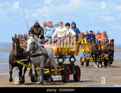 Chariot retourne à marée basse d'un voyage à l'île de la mer du Nord à Hambourg Neuwerk mer des Wadden Parc national de retour à la station balnéaire, l'Allemagne, Sahlenburg, 24 juin 2011. La décision à savoir si la partie de Hambourg de la mer des Wadden sera nommé un site du Patrimoine Naturel Mondial par l'UNESCO est retardé et a été à l'origine être décidé le 24 juin 2011 à Paris. Photo Banque D'Images