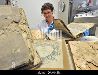 Restaurateur Wiebke Findeisen endommagé examine les livres historiques de la ville de Cologne au centre d'archives archives de Hubertusburg Wermsdorf, Allemagne, 24 juin 2011. Deux ans après l'effondrement de l'archives de Cologne, le saxon archives de l'Etat contribue à la restauration des dommages considérables de documents et une 21 personne et deux de l'équipe de restaurateurs et d'ici 2015, 86 de 620 mètres de Cologne' Banque D'Images