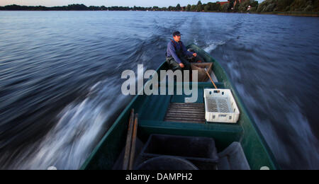 (Dossier) une archive photo datée du 07 septembre 2010 Martin fisher montre Riedl à voyager à travers le 24 kilomètre carré grand Lac Schaalsee à ses filets près de Lenschow, Allemagne. Dans la région de Stralsund, Allemagne, la journée de pêche de l'Etat association des pêcheurs du littoral et de la faucheuse de Mecklembourg-Poméranie occidentale a lieu. Photo : Jens Buettner Banque D'Images