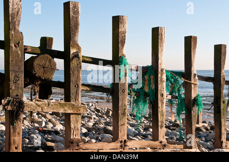 La défense de la mer en bois battues épi sur la plage à Eastbourne, East Sussex, England, UK Banque D'Images