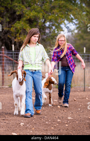 USA, Texas, les jeunes filles avec des chèvres Boer show on farm Banque D'Images