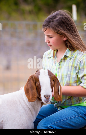 USA, Texas, jeune fille de la manipulation du marché à la ferme de chèvres Boer Banque D'Images