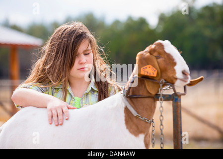 USA, Texas, jeune fille à la Chèvre Boer Afficher Banque D'Images