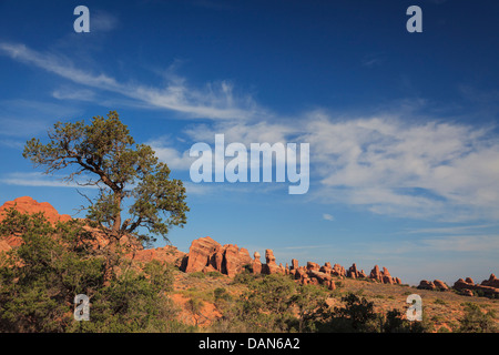 USA, Utah, Moab, Arches National Park, Devil's Garden Trail Banque D'Images