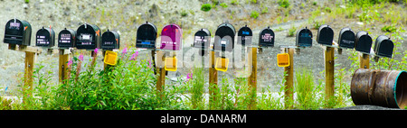 Vue panoramique de boîtes de courrier rural, Autoroute Glen ; route 1, Alaska, USA Banque D'Images