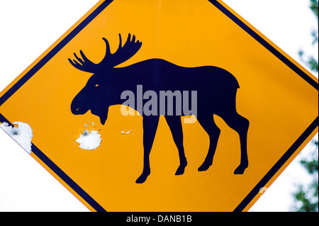 Moose crossing road sign avec trous de balles, l'autoroute Glen ; route 1, Alaska, USA Banque D'Images