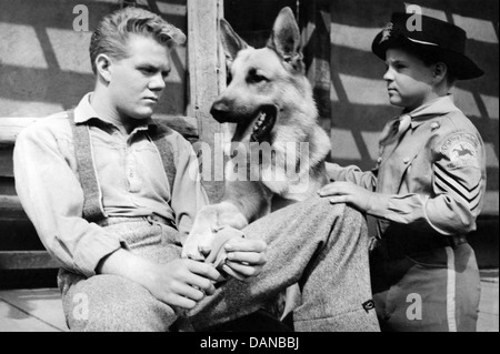 Les aventures de RINTINTIN (TV) (1954 - 1959) SCOTT WILDER, LEE AAKER, AORT 005 COLLECTION MOVIESTORE LTD Banque D'Images