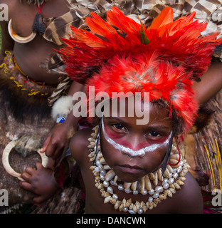 Jeune fille portant un couvre-chef en plumes rouge et collier de coquillages, Goroka show, Papouasie Nouvelle Guinée Banque D'Images