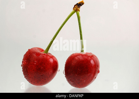 Cerises fraîches avec de l'eau gouttes Banque D'Images