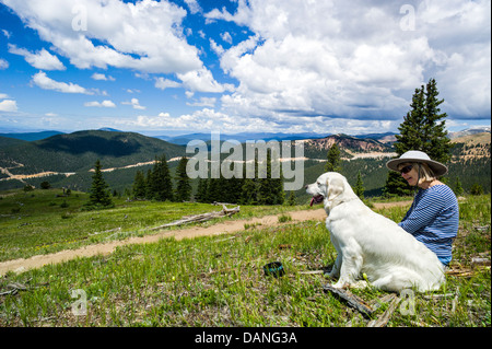 Femme seule & Platinum Golden Retriever dog faisant une pause pour apprécier la vue, Monarch Crest Trail, le centre du Colorado, USA Banque D'Images