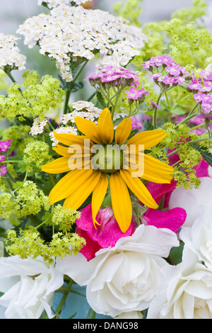 L'Achillea, Rudbeckia, Alchemilla, Roses et les petits pois dans un pot bleu pâle. Banque D'Images