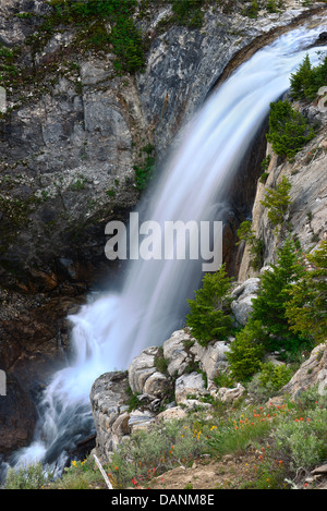 Sur la chute d'Adam Creek dans l'Oregon est Montagnes Wallowa. Banque D'Images