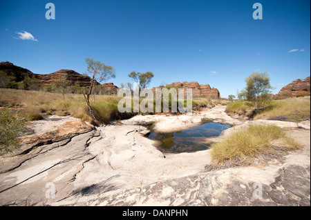 Lit de rivière rocheux Piccaninny, randonnées à Piccaninny Gorges, le Parc National de Purnululu (Bungle-Bungle N.P.), Kimberley, Banque D'Images