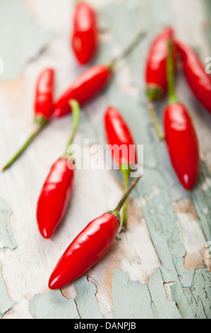 Certains piments Thaï rouge balle sur une surface en bois peint craquelé. Banque D'Images