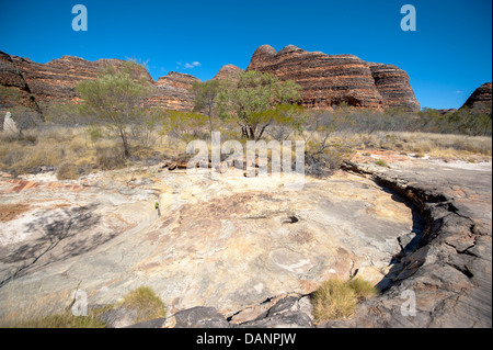 Lit de rivière rocheux Piccaninny, randonnées à Piccaninny Gorges, le Parc National de Purnululu (Bungle-Bungle N.P.), Kimberley, Banque D'Images