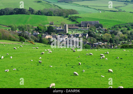 Une vue de l'Australe avec des moutons Dorset Ridgeway au premier plan et Abbotsbury dans la distance Banque D'Images