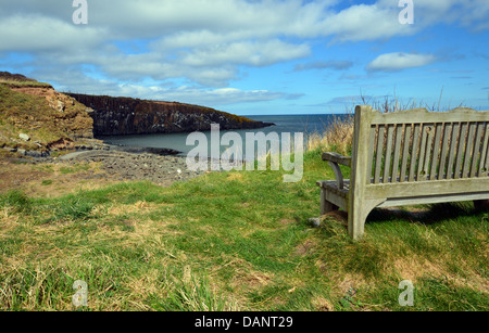 Assise en bois donnant sur Cullernose Point près de Craster sur St Oswalds Way Sentier de la côte de Northumberland Banque D'Images