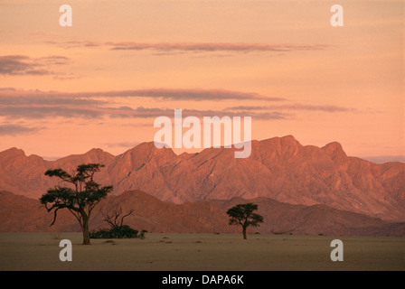 Le Naukluft mountains vu atsunset de Sesriem, Namibie. Banque D'Images