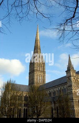Vue sur la cathédrale de Salisbury, Wiltshire, Angleterre, Royaume-Uni Banque D'Images