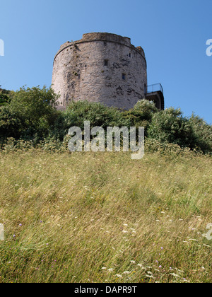 Tour du Mont Batten, Plymouth, UK 2013 Banque D'Images