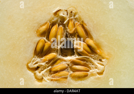 Section transversale intérieure du secteur de melon ou melon d'hiver légèrement sucrée et piquante à pépins ou graines Banque D'Images