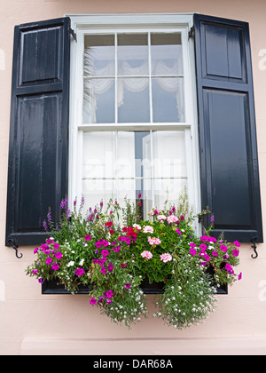 La fenêtre d'un des maisons historiques en ligne Arc-en-ciel, Charleston, Caroline du Sud. Banque D'Images