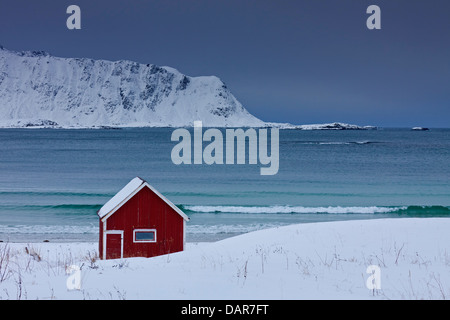 Cabine en bois isolé rouge rorbuer le long de la côte dans la neige en hiver, îles Lofoten, Nordland, Norvège, Scandinavie Banque D'Images