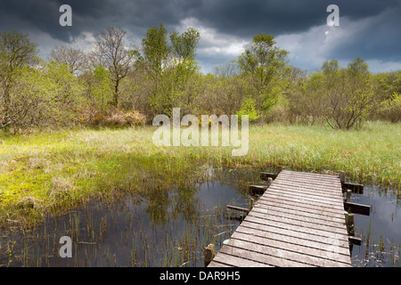 Breney commun ; Wildlife Trust Réserver ; Cornwall, UK Banque D'Images