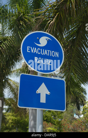 L'OURAGAN BLEU SIGNE UN PARCOURS D'ÉVACUATION EN FACE DE PALMIERS FORT LAUDERDALE FLORIDA USA Banque D'Images