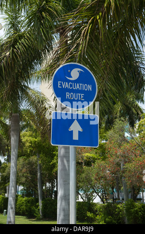 L'OURAGAN BLEU SIGNE UN PARCOURS D'ÉVACUATION EN FACE DE PALMIERS FORT LAUDERDALE FLORIDA USA Banque D'Images