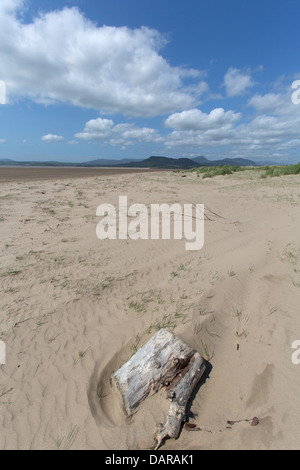 Ville de Harlech, Pays de Galles. Vue paisible pittoresque de bois flotté sur la partie nord de Harlech Beach. Banque D'Images