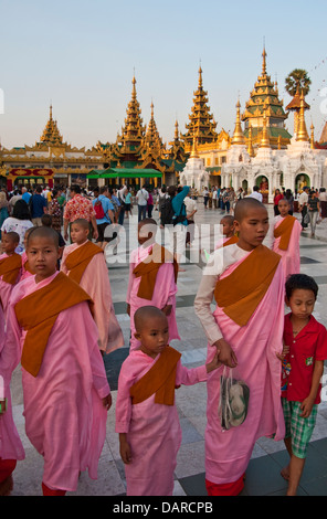 Les nonnes bouddhistes de la pagode Shwedagon à Yangon. Banque D'Images