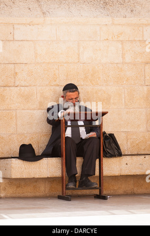 Vieille ville de Jérusalem Israël du mur des Lamentations Ha Kotel Plaza juif orthodoxe juif gray gray beard prie priant lutrin Banque D'Images