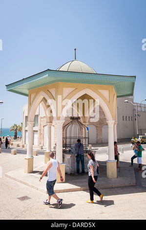 Israël Jaffa Yafo la mosquée Mahmoudiya ablutions avec de l'eau fontaine wudu palm tree Banque D'Images