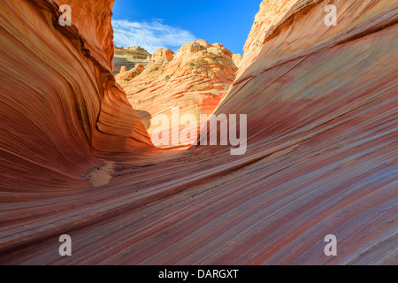 Rock formations dans le Nord Coyote Buttes, partie de la Vermilion Cliffs National Monument. Cette zone est aussi connue comme l'onde. Banque D'Images