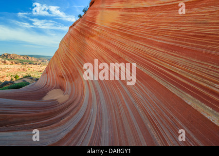 Rock formations dans le Nord Coyote Buttes, partie de la Vermilion Cliffs National Monument. Cette zone est aussi connue comme l'onde. Banque D'Images