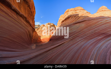 Rock formations dans le Nord Coyote Buttes, partie de la Vermilion Cliffs National Monument. Cette zone est aussi connue comme l'onde. Banque D'Images