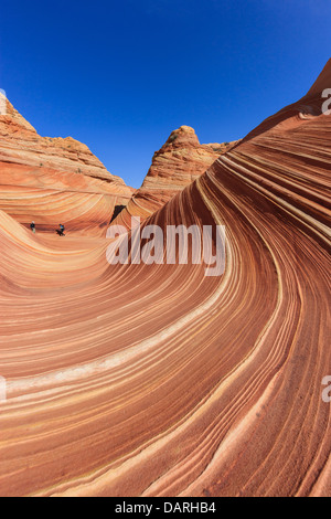 Rock formations dans le Nord Coyote Buttes, partie de la Vermilion Cliffs National Monument. Cette zone est aussi connue comme l'onde. Banque D'Images